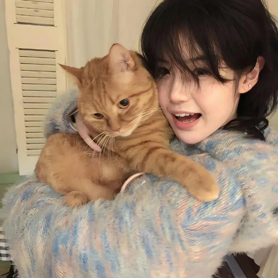 黑猩猩的世界
