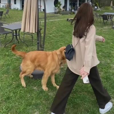 精灵小王子
